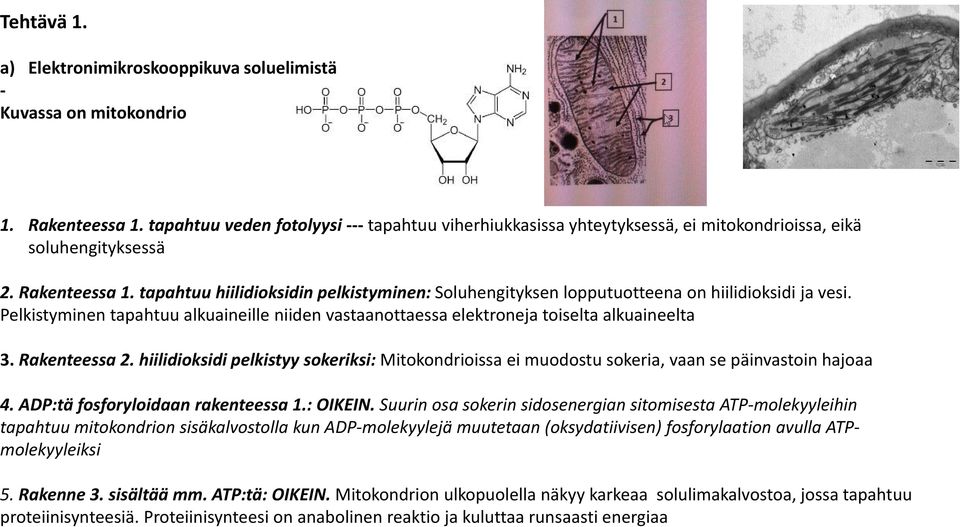 tapahtuu hiilidioksidin pelkistyminen: Soluhengityksen lopputuotteena on hiilidioksidi ja vesi. Pelkistyminen tapahtuu alkuaineille niiden vastaanottaessa elektroneja toiselta alkuaineelta 3.