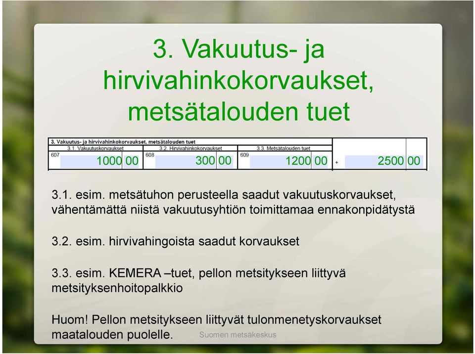 ennakonpidätystä 3.2. esim. hirvivahingoista saadut korvaukset 3.3. esim. KEMERA tuet, pellon metsitykseen liittyvä metsityksenhoitopalkkio Huom!