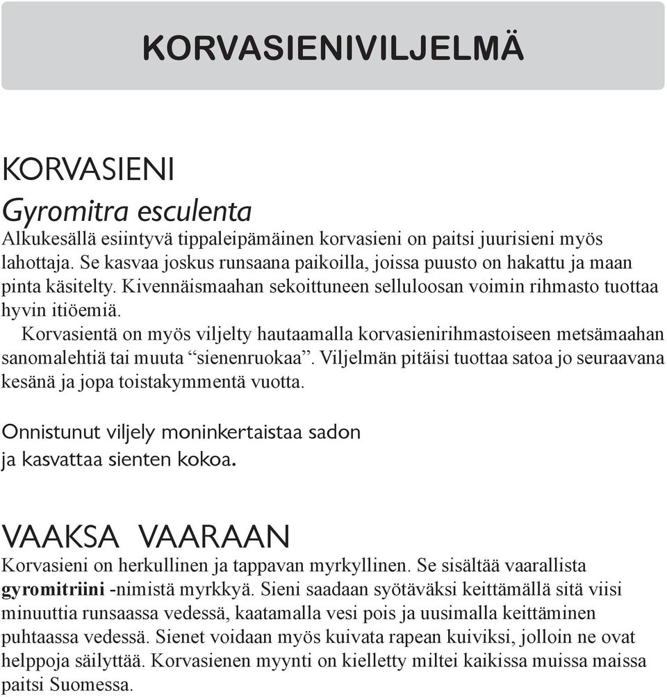 Korvasientä on myös viljelty hautaamalla korvasienirihmastoiseen metsämaahan sanomalehtiä tai muuta sienenruokaa. Viljelmän pitäisi tuottaa satoa jo seuraavana kesänä ja jopa toistakymmentä vuotta.