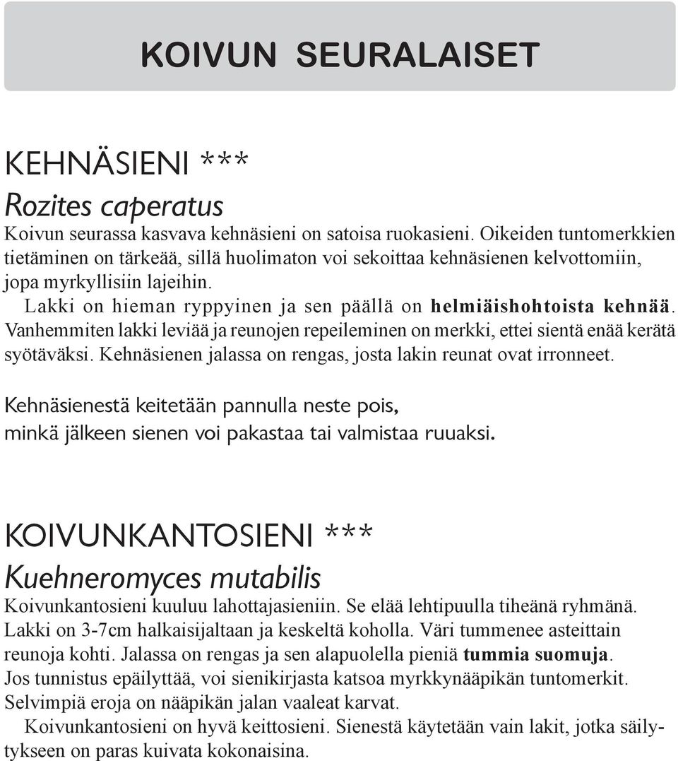 Vanhemmiten lakki leviää ja reunojen repeileminen on merkki, ettei sientä enää kerätä syötäväksi. Kehnäsienen jalassa on rengas, josta lakin reunat ovat irronneet.