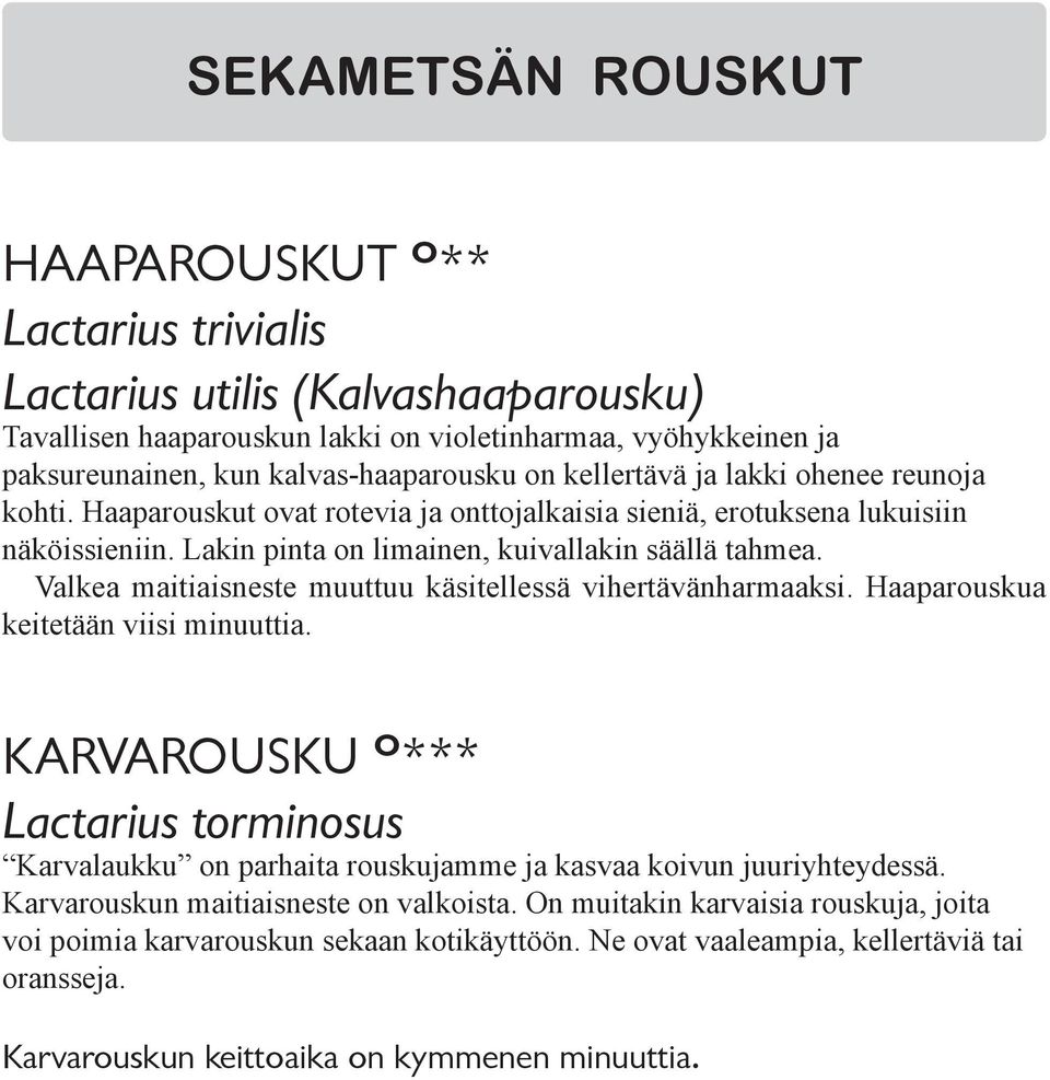 Valkea maitiaisneste muuttuu käsitellessä vihertävänharmaaksi. Haaparouskua keitetään viisi minuuttia.