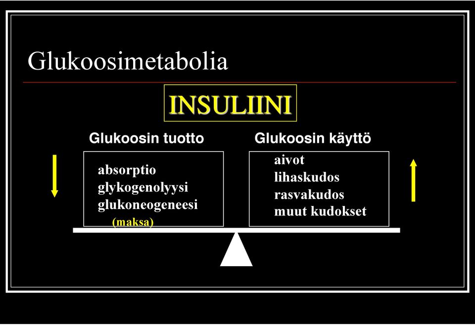 glukoneogeneesi (maksa) Glukoosin