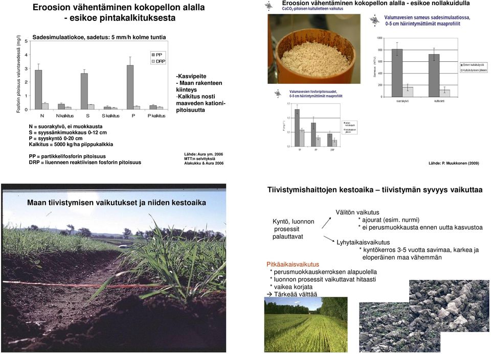 muokkausta S = syyssänkimuokkaus -12 cm P = syyskyntö -2 cm Kalkitus = 5 kg/ha piippukalkkia PP = partikkelifosforin pitoisuus DRP = liuenneen reaktiivisen fosforin pitoisuus Lähde: Aura ym.