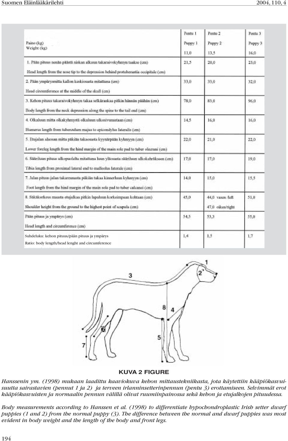 Selvimmät erot kääpiökasvuisten ja normaalin pennun välillä olivat ruumiinpainossa sekä kehon ja etujalkojen pituudessa. Body measurements according to Hanssen et al.