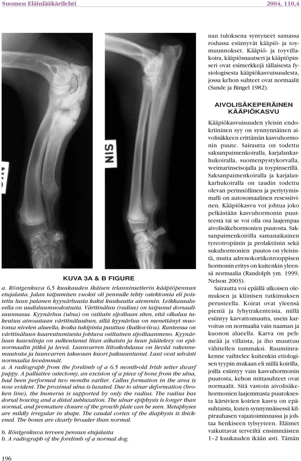 KUVA 3A & B FIGURE a. Röntgenkuva 6,5 kuukauden ikäisen irlanninsetterin kääpiöpennun etujalasta.