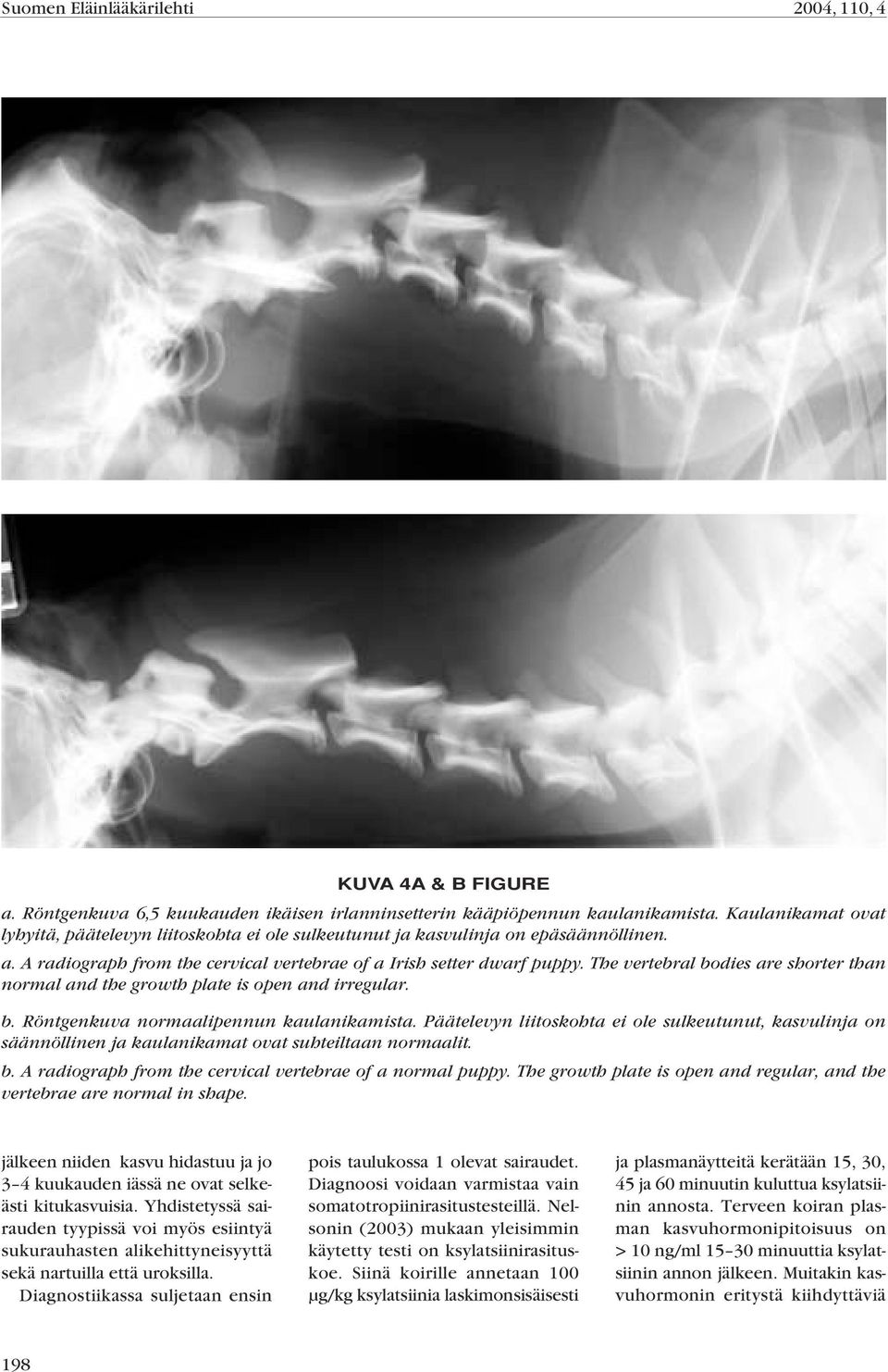 The vertebral bodies are shorter than normal and the growth plate is open and irregular. b. Röntgenkuva normaalipennun kaulanikamista.