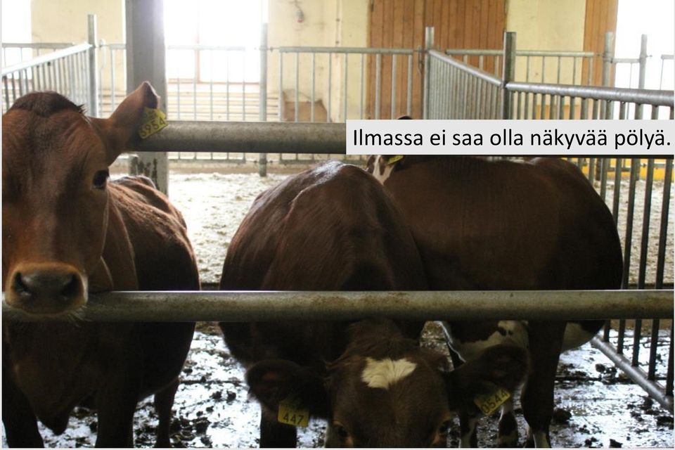 olla