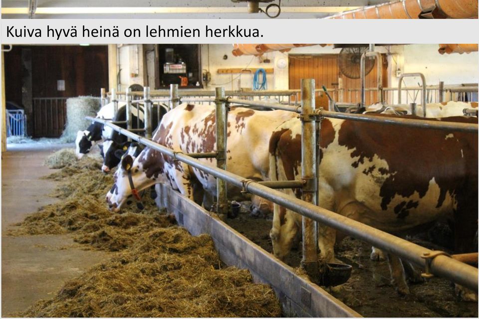 heinä on
