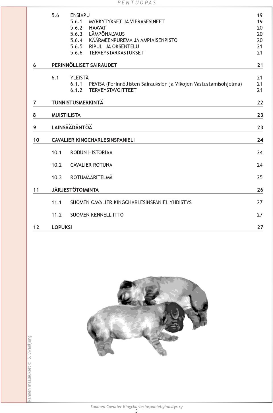 1 RODUN HISTORIAA 24 10.2 CAVALIER ROTUNA 24 10.3 ROTUMÄÄRITELMÄ 25 11 JÄRJESTÖTOIMINTA 26 11.1 SUOMEN CAVALIER KINGCHARLESINSPANIELIYHDISTYS 27 11.