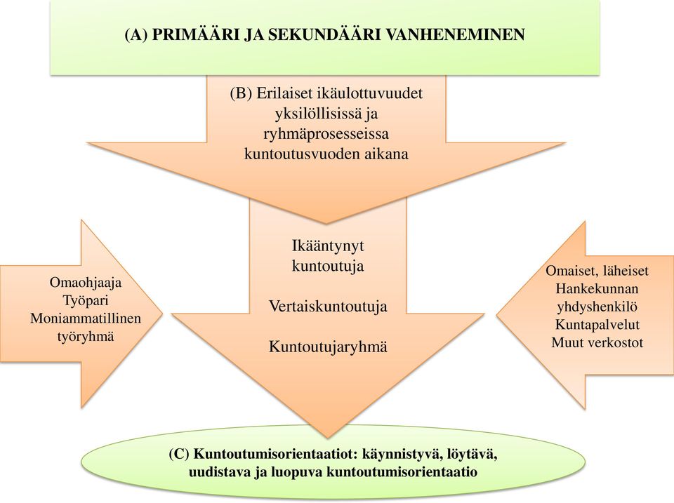 kuntoutuja Vertaiskuntoutuja Kuntoutujaryhmä Omaiset, läheiset Hankekunnan yhdyshenkilö