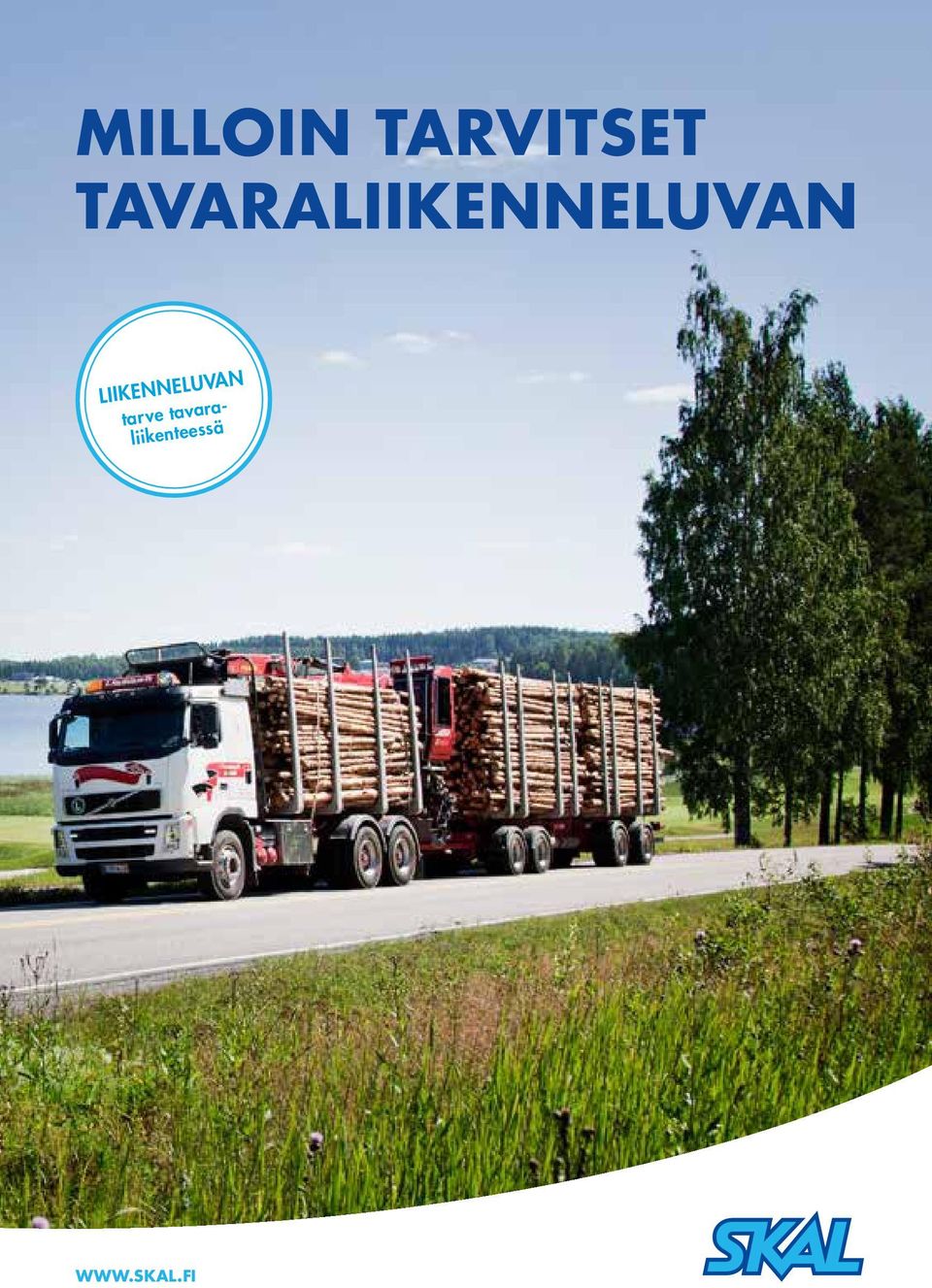 LIIKENNELUVAN tarve