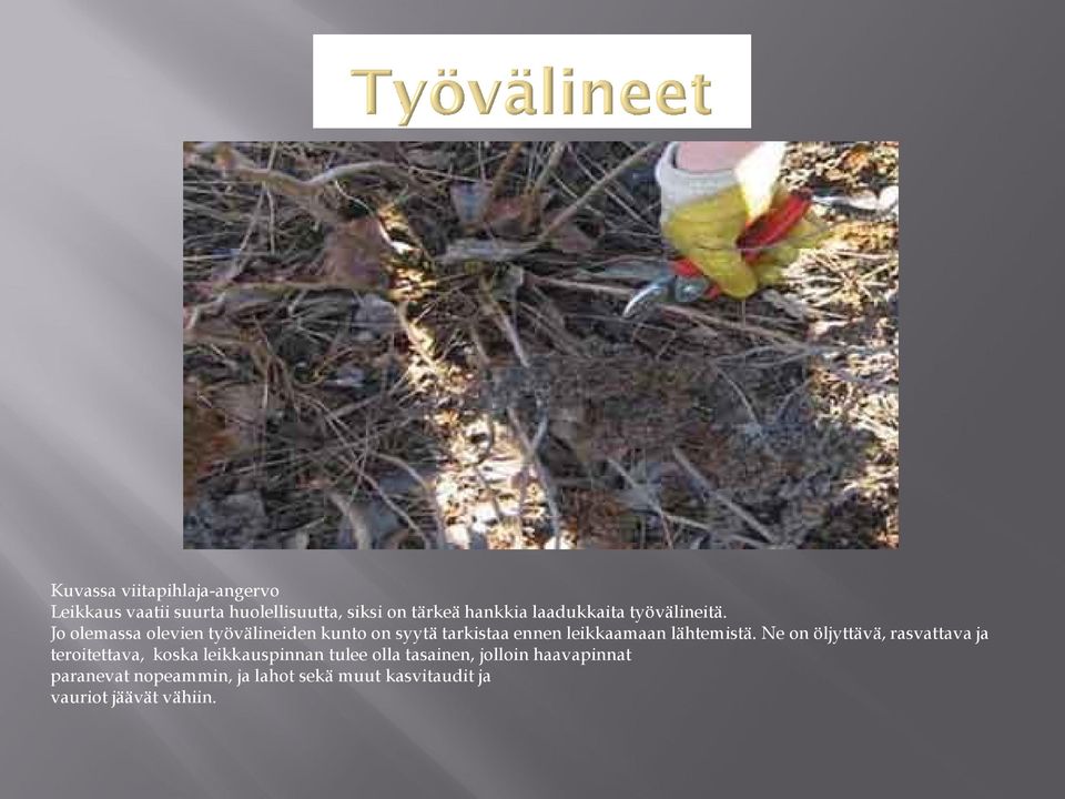 Jo olemassa olevien työvälineiden kunto on syytä tarkistaa ennen leikkaamaan lähtemistä.
