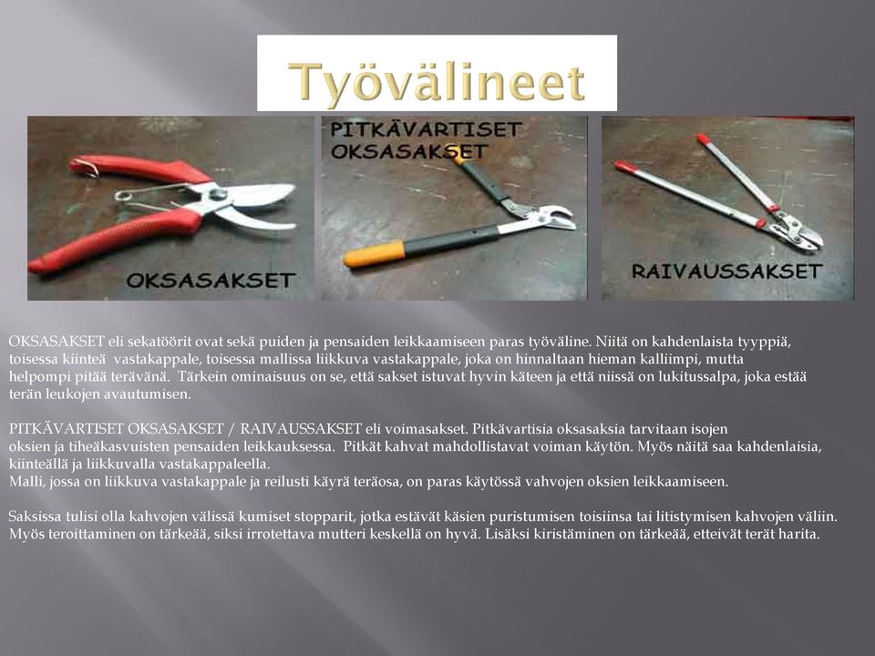 Tärkein ominaisuus on se, että sakset istuvat hyvin käteen ja että niissä on lukitussalpa, joka estää terän leukojen avautumisen. PITKÄVARTISET OKSASAKSET / RAIVAUSSAKSET eli voimasakset.