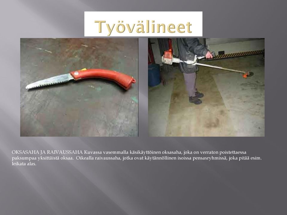 yksittäistä oksaa.