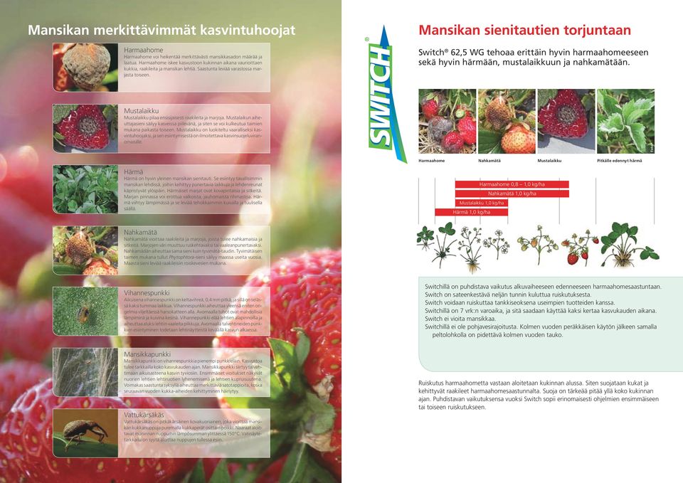 Mansikan sienitautien torjuntaan Switch 62,5 WG tehoaa erittäin hyvin harmaahomeeseen sekä hyvin härmään, mustalaikkuun ja nahkamätään.