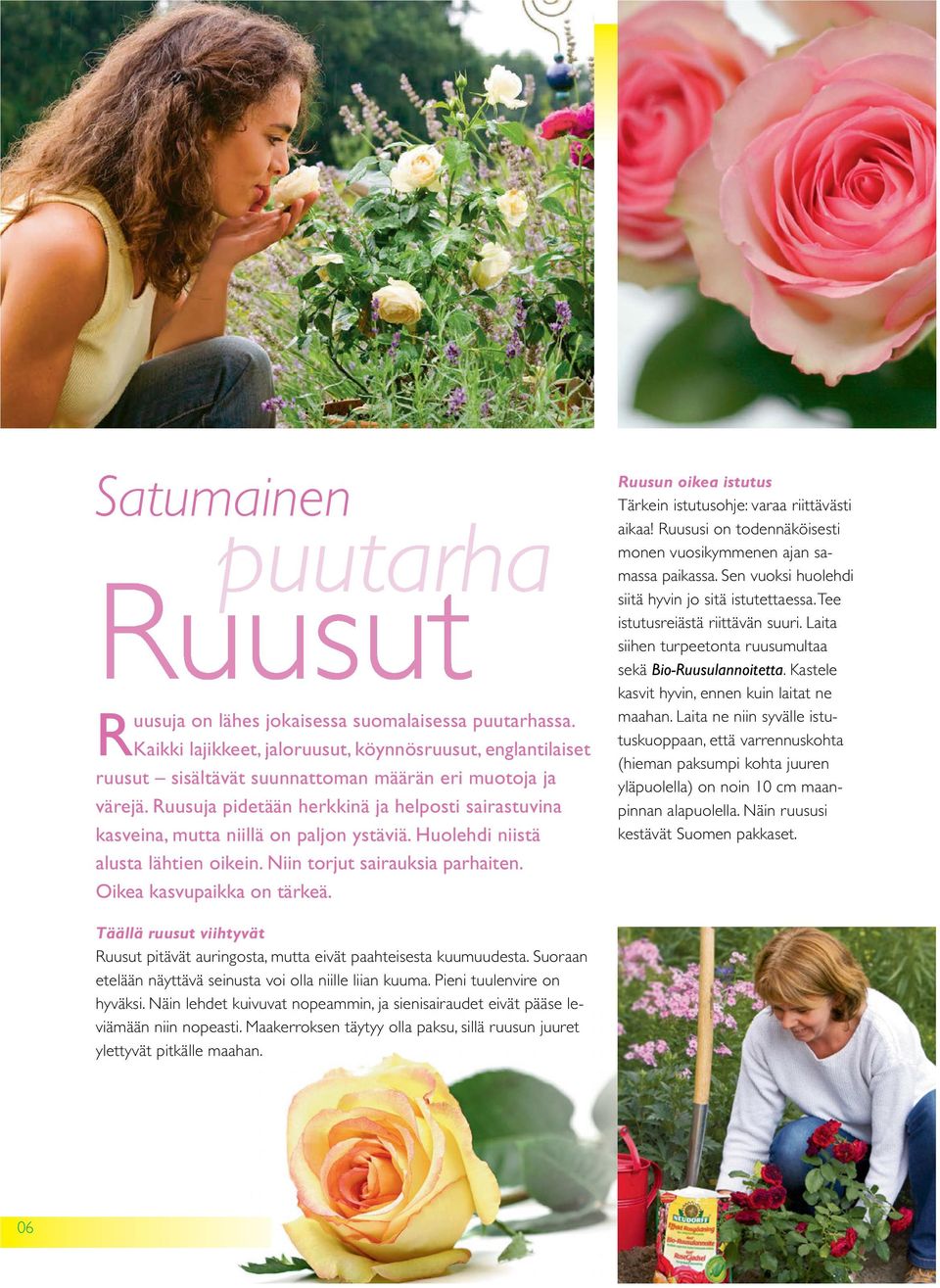 Ruusun oikea istutus Tärkein istutusohje: varaa riittävästi aikaa! Ruususi on todennäköisesti monen vuosikymmenen ajan samassa paikassa. Sen vuoksi huolehdi siitä hyvin jo sitä istutettaessa.