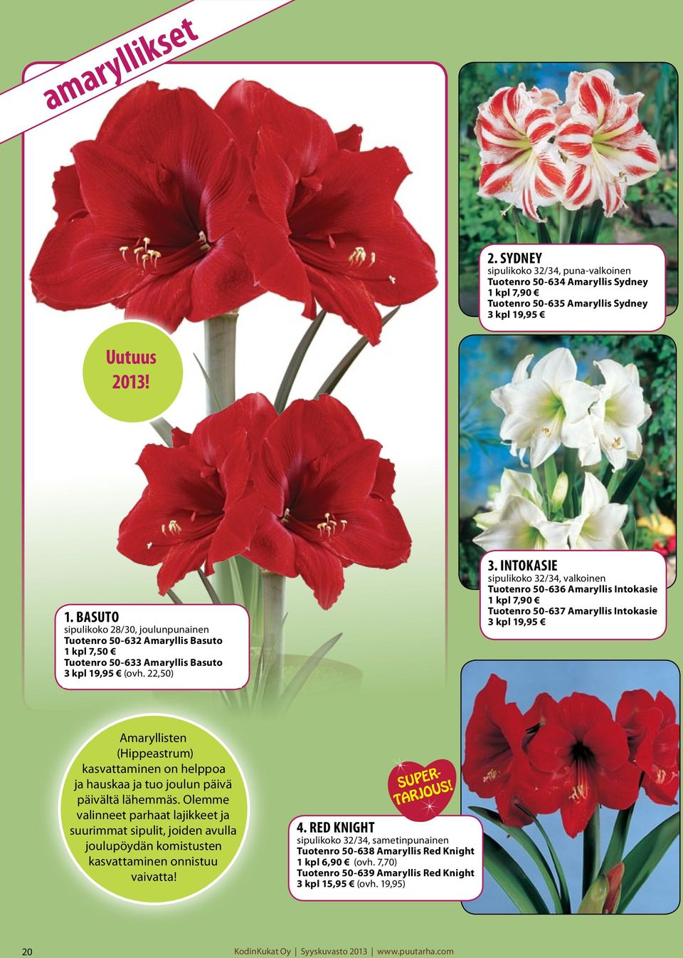 INTOKASIE sipulikoko 32/34, valkoinen Tuotenro 50-636 Amaryllis Intokasie 1 kpl 7,90 Tuotenro 50-637 Amaryllis Intokasie 3 kpl 19,95 Amaryllisten (Hippeastrum) kasvattaminen on helppoa ja hauskaa ja