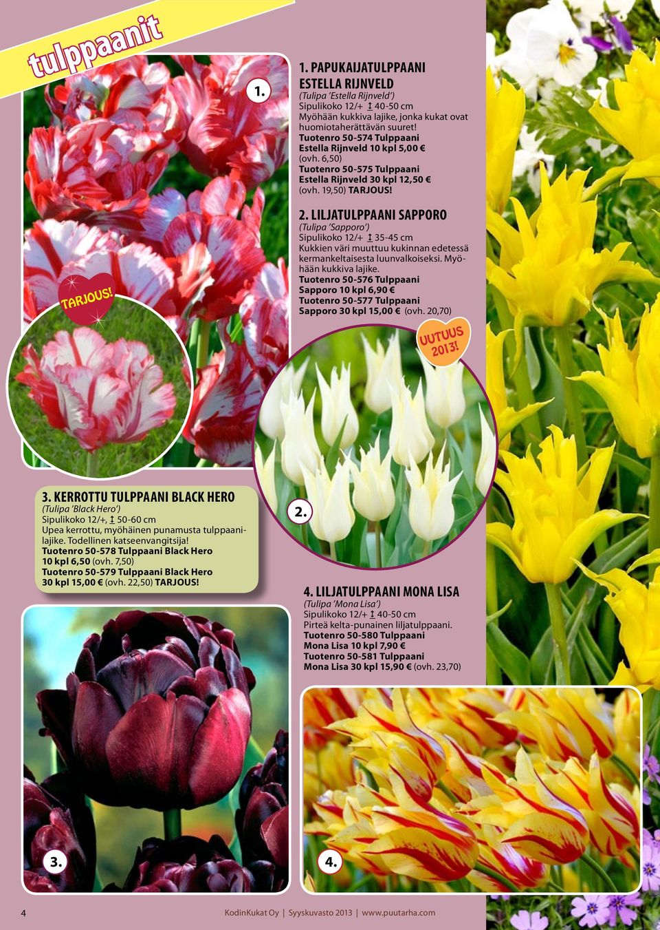 liljatulppaani sapporo (Tulipa Sapporo ) Sipulikoko 12/+ 2 35-45 cm Kukkien väri muuttuu kukinnan edetessä kermankeltaisesta luunvalkoiseksi. Myöhään kukkiva lajike.