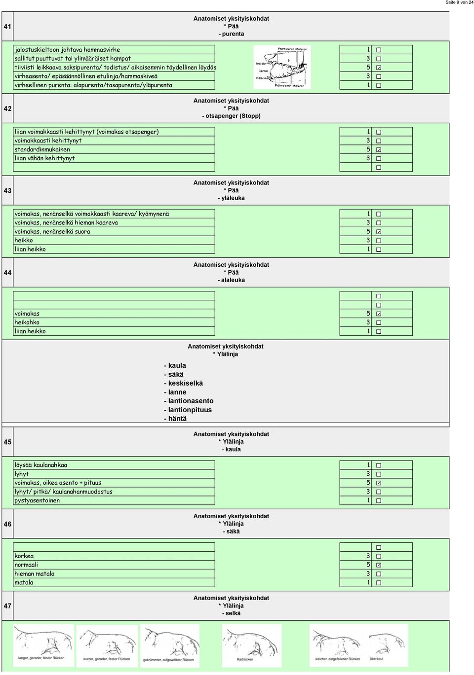 voimakkaasti kehittynyt standardinmukainen liian vähän kehittynyt 4 * Pää - yläleuka voimakas, nenänselkä voimakkaasti kaareva/ kyömynenä voimakas, nenänselkä hieman kaareva voimakas, nenänselkä