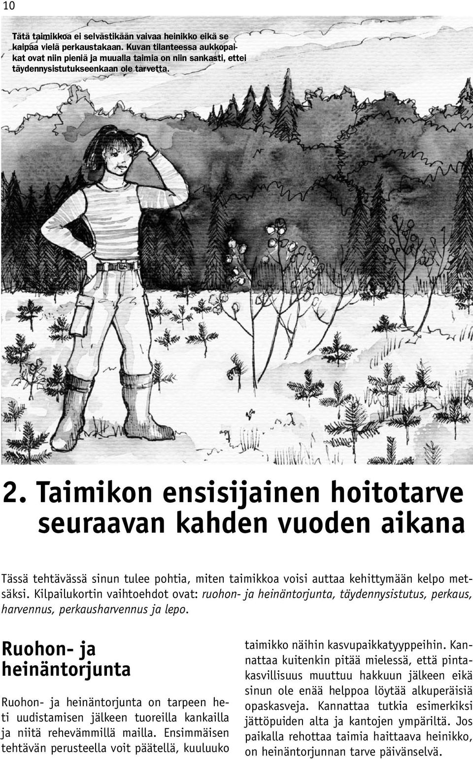 Taimikon ensisijainen hoitotarve seuraavan kahden vuoden aikana Tässä tehtävässä sinun tulee pohtia, miten taimikkoa voisi auttaa kehittymään kelpo metsäksi.