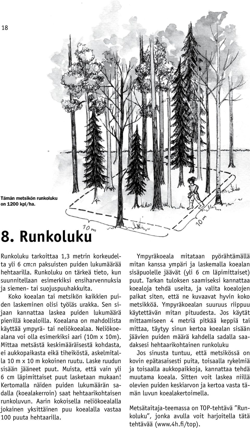 Sen sijaan kannattaa laskea puiden lukumäärä pienillä koealoilla. Koealana on mahdollista käyttää ympyrä- tai neliökoealaa. Neliökoealana voi olla esimerkiksi aari (10m x 10m).