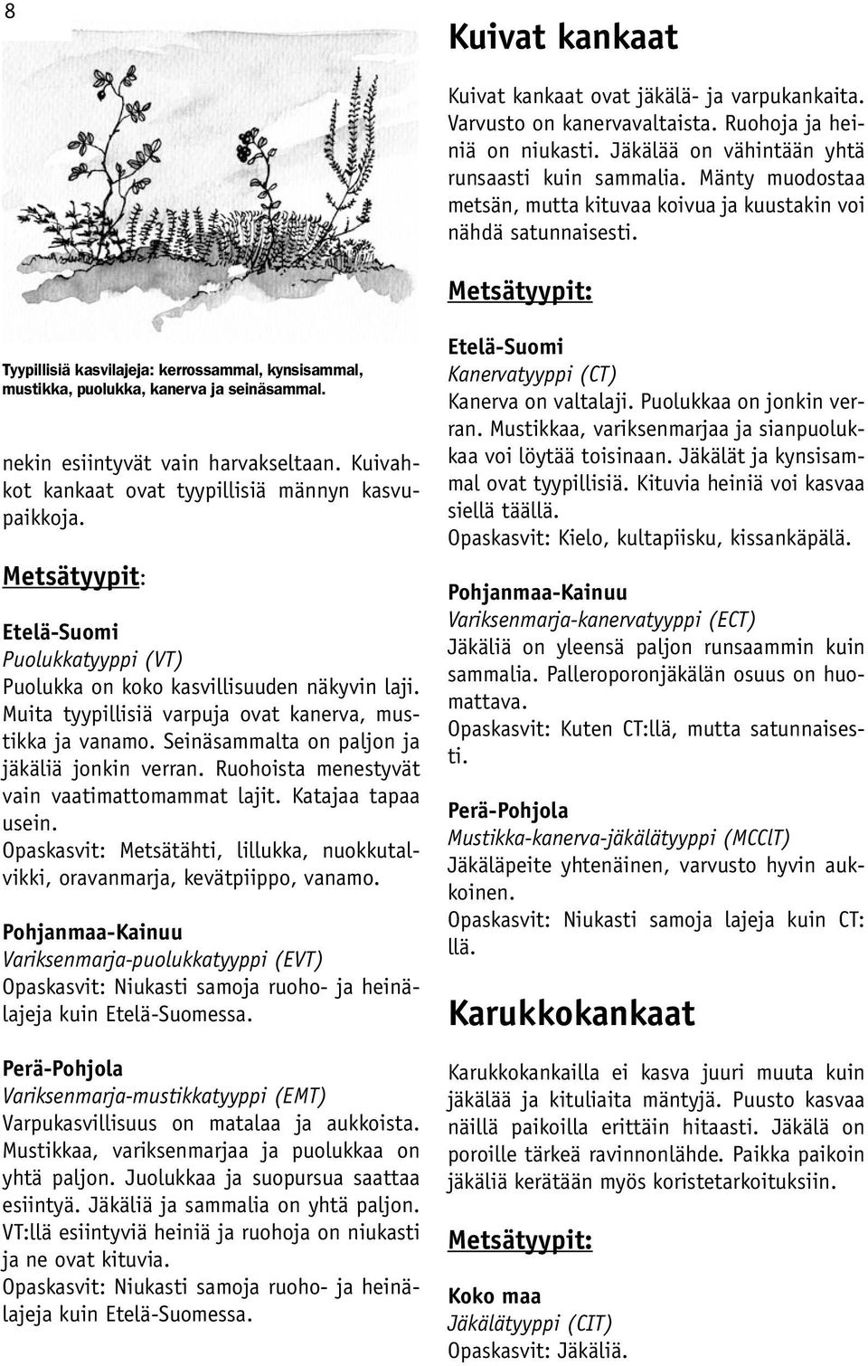 nekin esiintyvät vain harvakseltaan. Kuivahkot kankaat ovat tyypillisiä männyn kasvupaikkoja. Metsätyypit: Etelä-Suomi Puolukkatyyppi (VT) Puolukka on koko kasvillisuuden näkyvin laji.