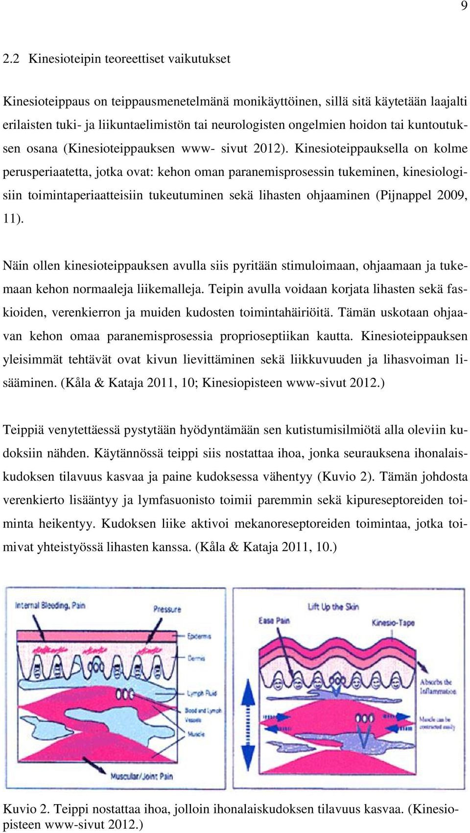 Kinesioteippauksella on kolme perusperiaatetta, jotka ovat: kehon oman paranemisprosessin tukeminen, kinesiologisiin toimintaperiaatteisiin tukeutuminen sekä lihasten ohjaaminen (Pijnappel 2009, 11).