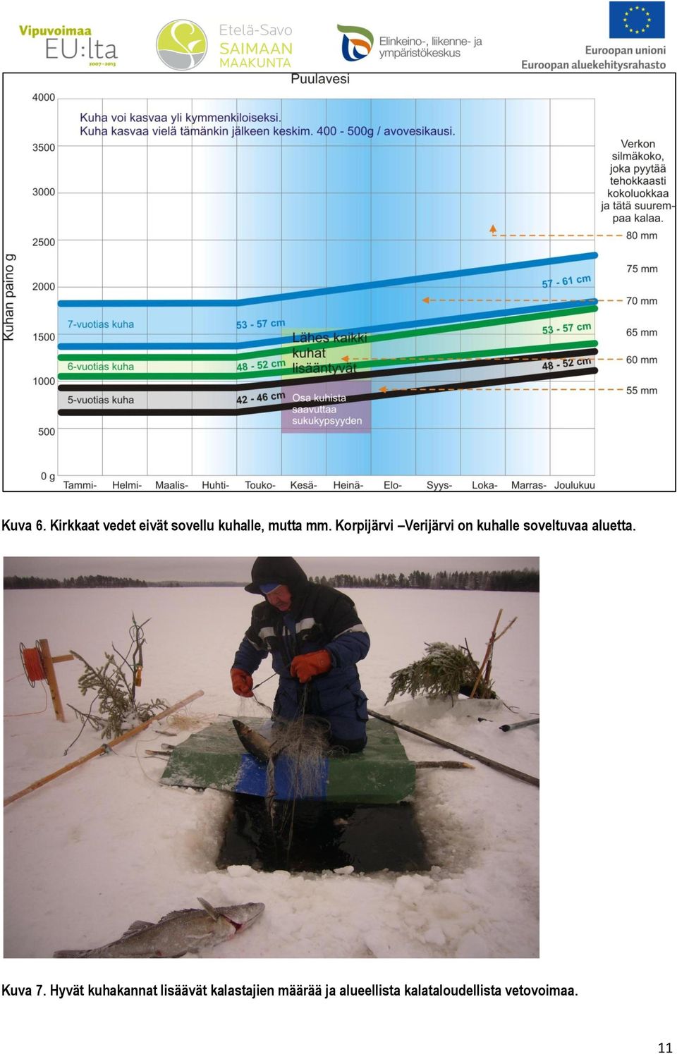 Korpijärvi Verijärvi on kuhalle soveltuvaa aluetta.