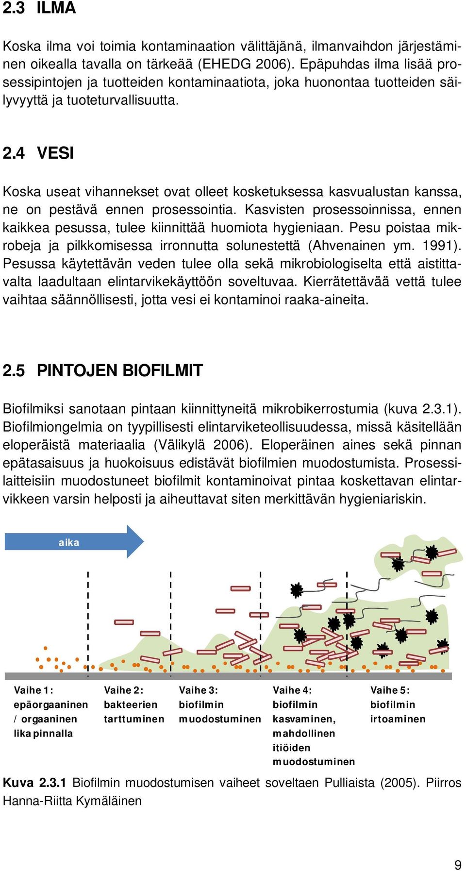 4 VESI Koska useat vihannekset ovat olleet kosketuksessa kasvualustan kanssa, ne on pestävä ennen prosessointia. Kasvisten prosessoinnissa, ennen kaikkea pesussa, tulee kiinnittää huomiota hygieniaan.