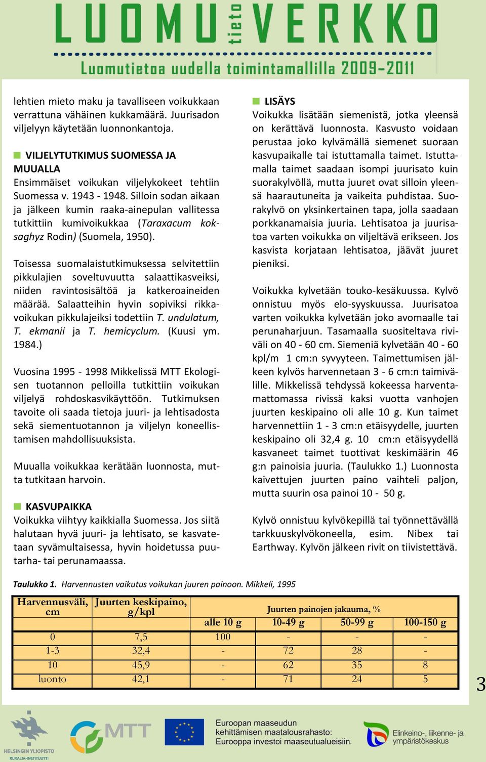 Silloin sodan aikaan ja jälkeen kumin raaka-ainepulan vallitessa tutkittiin kumivoikukkaa (Taraxacum koksaghyz Rodin) (Suomela, 1950).