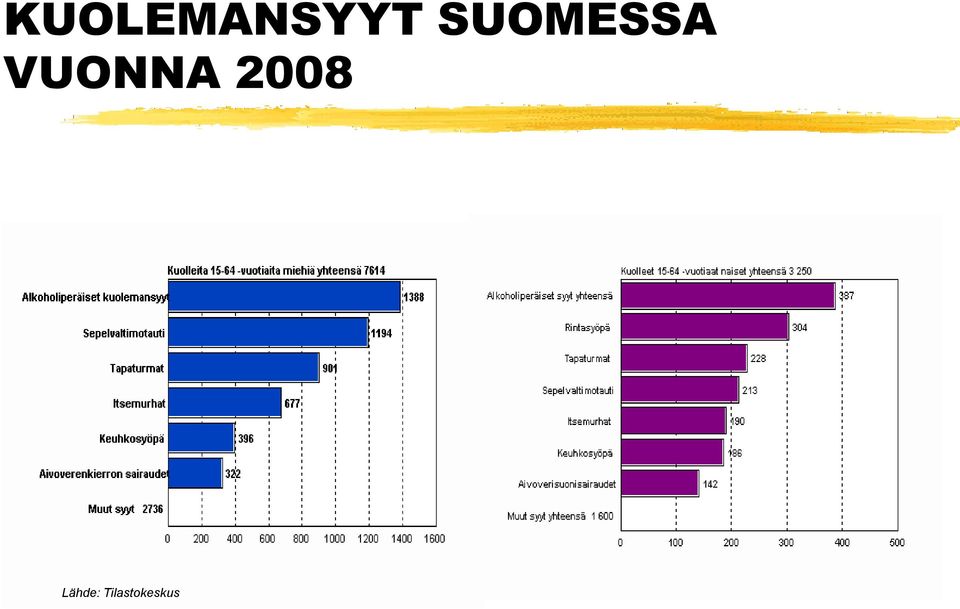 VUONNA 2008