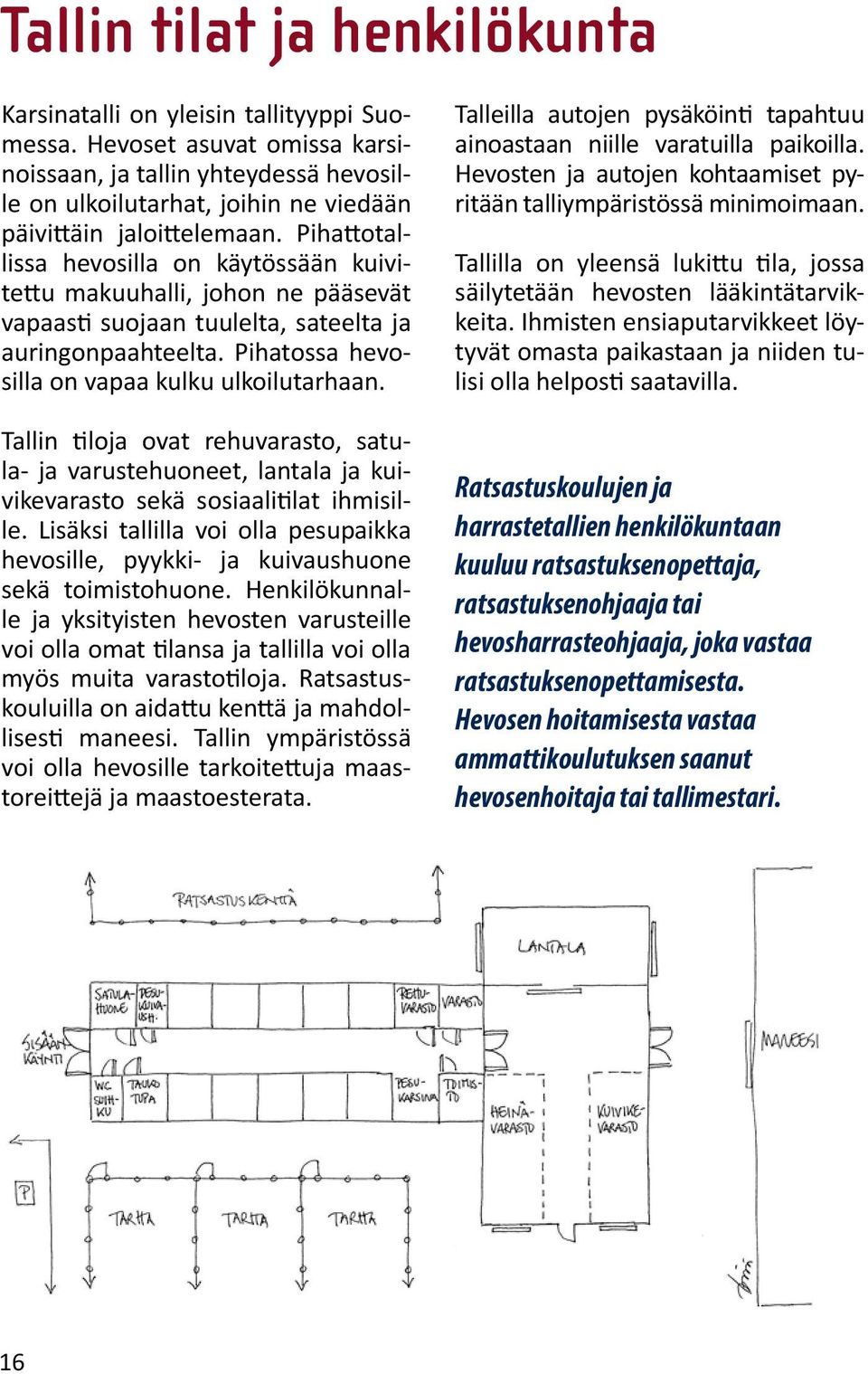 Pihattotallissa hevosilla on käytössään kuivitettu makuuhalli, johon ne pääsevät vapaasti suojaan tuulelta, sateelta ja auringonpaahteelta. Pihatossa hevosilla on vapaa kulku ulkoilutarhaan.