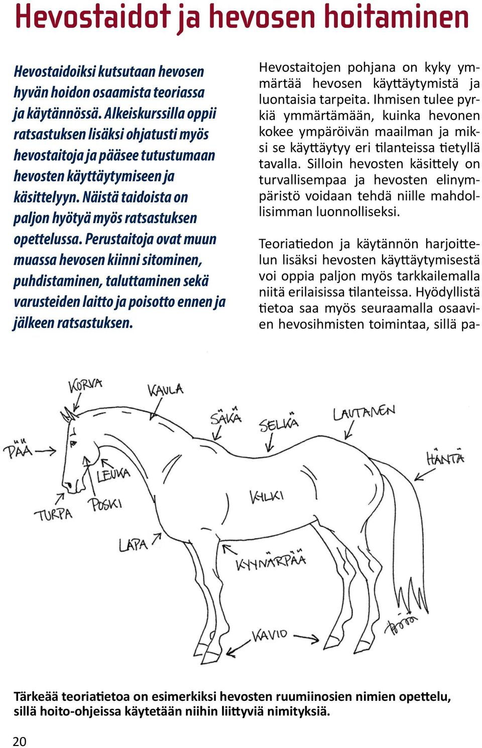 Perustaitoja ovat muun muassa hevosen kiinni sitominen, puhdistaminen, taluttaminen sekä varusteiden laitto ja poisotto ennen ja jälkeen ratsastuksen.