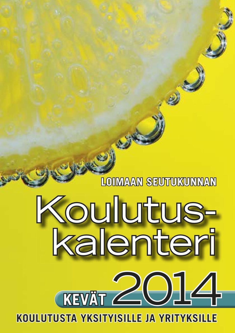 2014 KEVÄT KOULUTUSTA