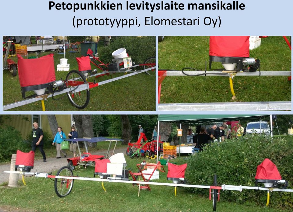 mansikalle