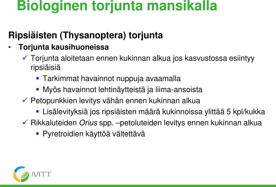 lehtinäytteistä ja liima-ansoista Petopunkkien levitys vähän ennen kukinnan alkua Lisälevityksiä jos ripsiäisten