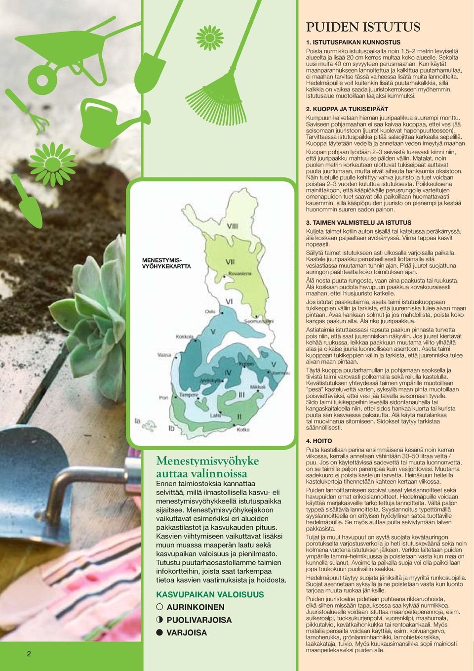 Hedelmäpuille voit kuitenkin lisätä puutarhakalkkia, sillä kalkkia on vaikea saada juuristokerrokseen myöhemmin. Istutusalue muotoillaan laajaksi kummuksi. 2.