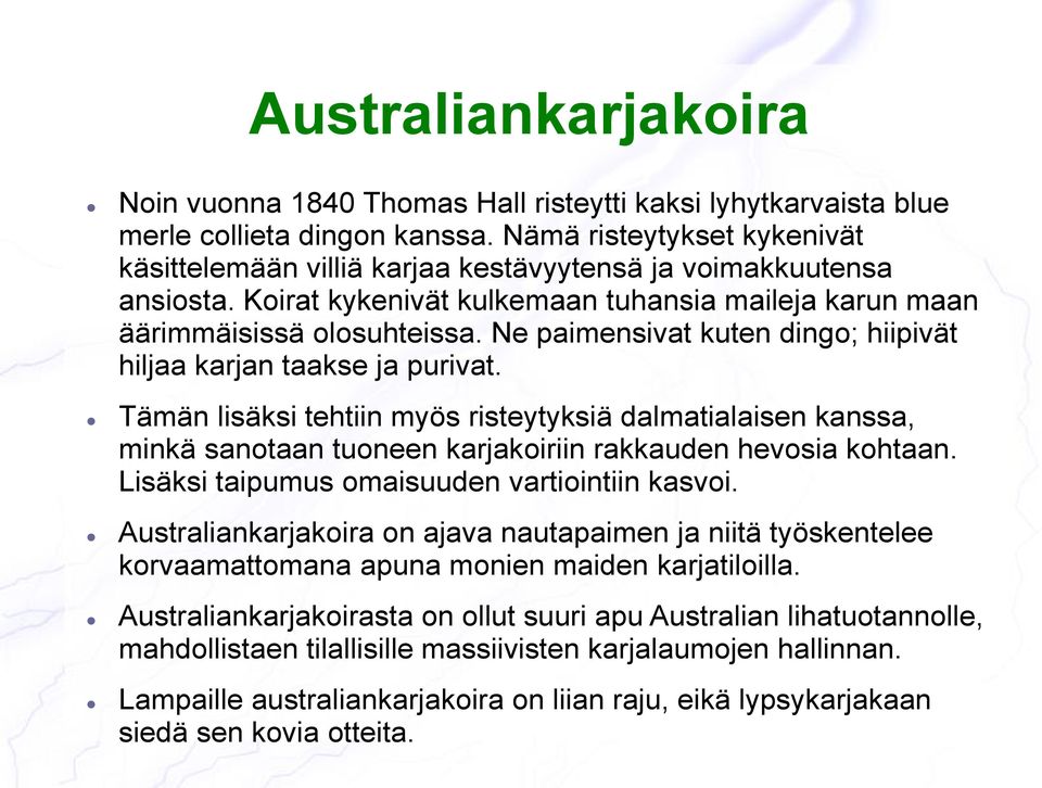 Ne paimensivat kuten dingo; hiipivät hiljaa karjan taakse ja purivat. Tämän lisäksi tehtiin myös risteytyksiä dalmatialaisen kanssa, minkä sanotaan tuoneen karjakoiriin rakkauden hevosia kohtaan.