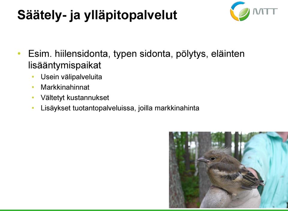 lisääntymispaikat Usein välipalveluita Markkinahinnat Vältetyt