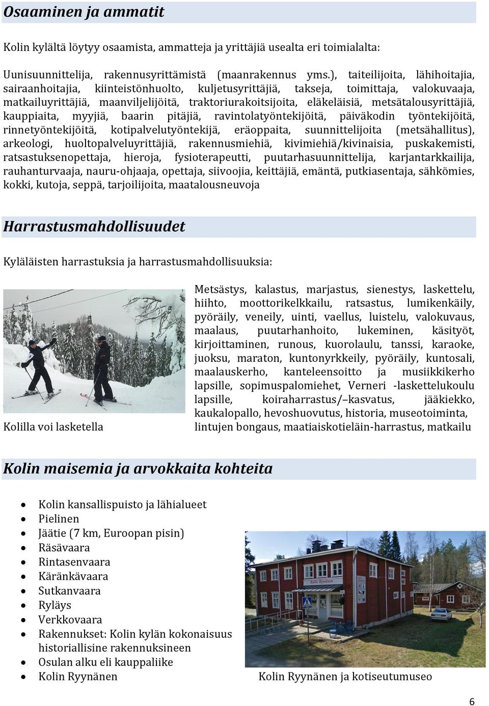 metsätalousyrittäjiä, kauppiaita, myyjiä, baarin pitäjiä, ravintolatyöntekijöitä, päiväkodin työntekijöitä, rinnetyöntekijöitä, kotipalvelutyöntekijä, eräoppaita, suunnittelijoita (metsähallitus),