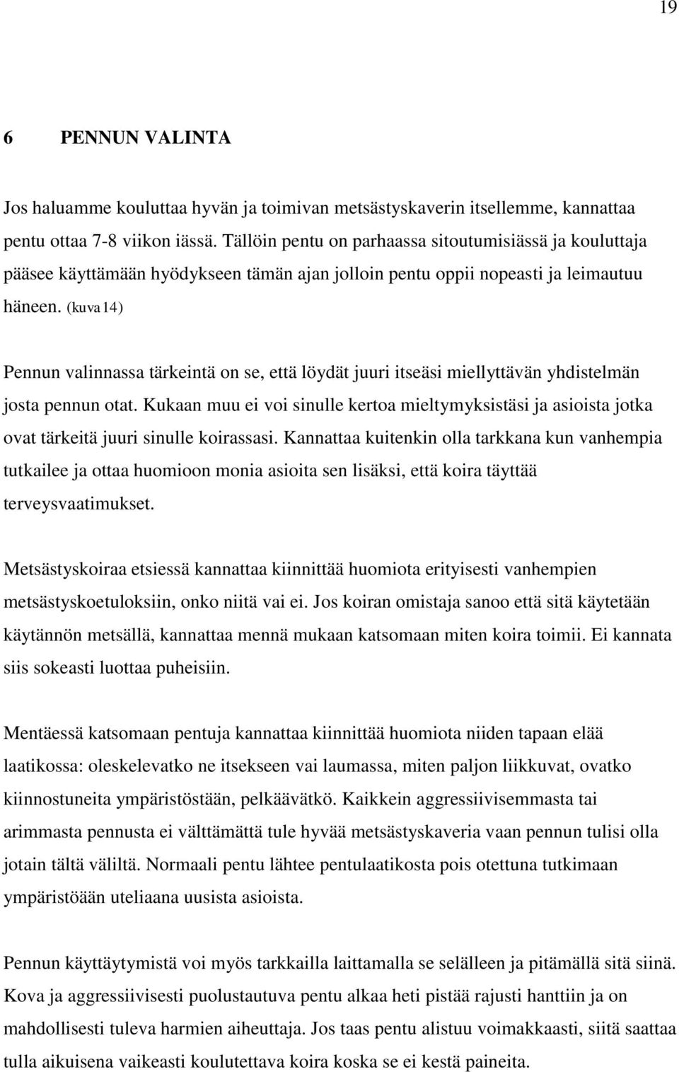 (kuva14) Pennun valinnassa tärkeintä on se, että löydät juuri itseäsi miellyttävän yhdistelmän josta pennun otat.