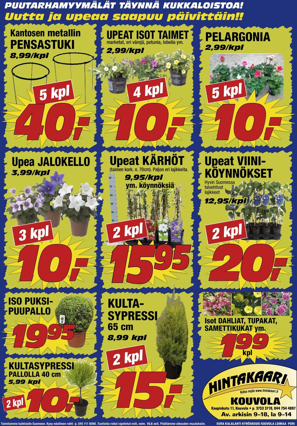 2,99/kpl PELARGONIA 2,99/kpl 5 kpl 40,- 4 kpl 20,- 5 kpl Upea JALOKELLO 3,99/kpl 3 kpl 15,- Upeat KÄRHÖT (taimen kork. n. 70cm).