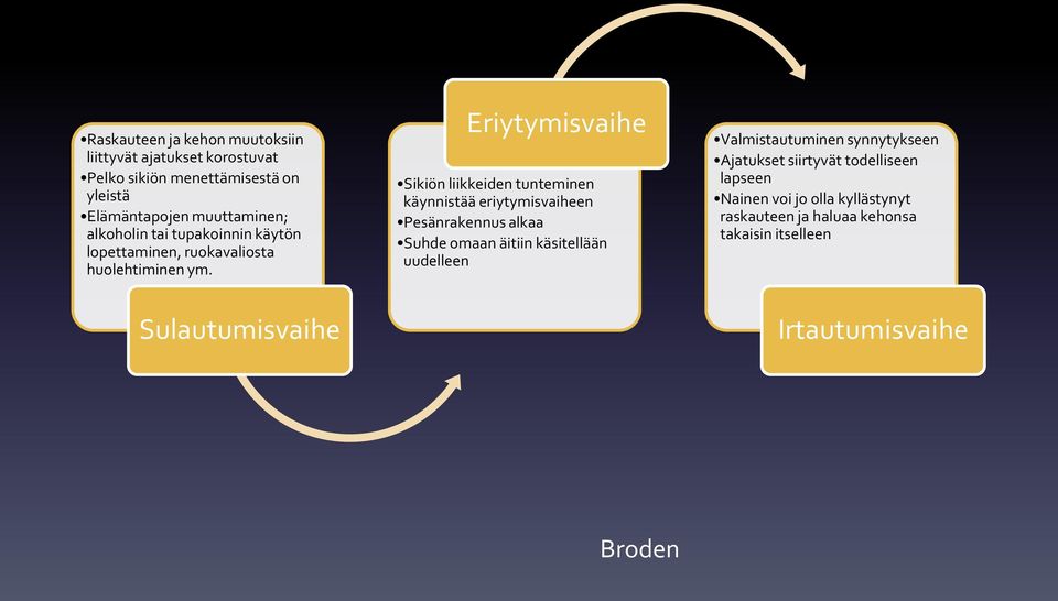 Eriytymisvaihe Sikiön liikkeiden tunteminen käynnistää eriytymisvaiheen Pesänrakennus alkaa Suhde omaan äitiin käsitellään