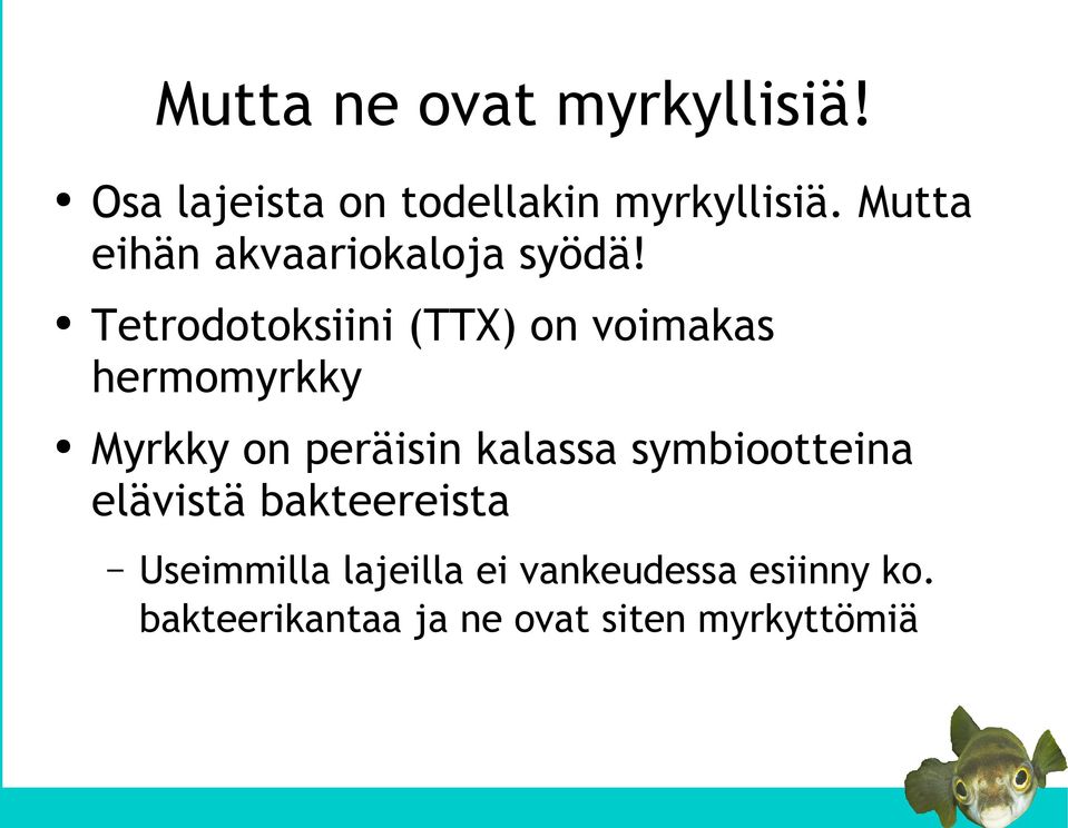 Tetrodotoksiini (TTX) on voimakas hermomyrkky Myrkky on peräisin kalassa