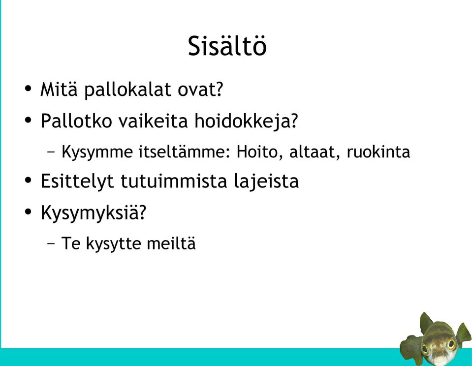 Kysymme itseltämme: Hoito, altaat,