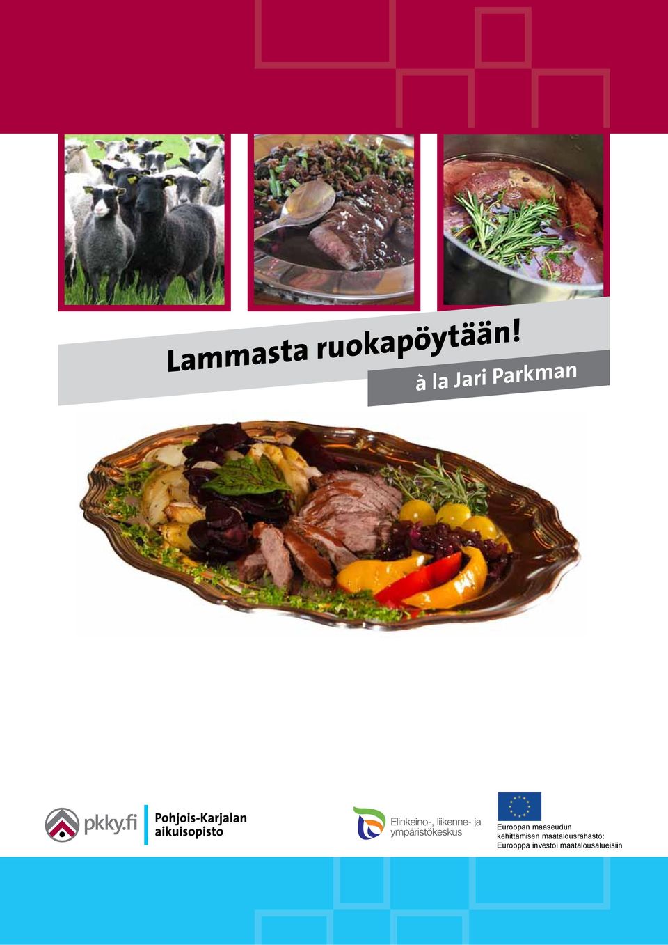 kehittämisen