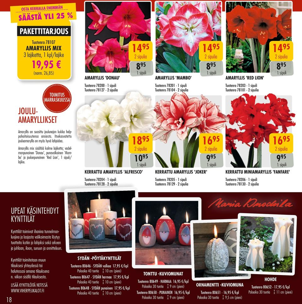 sipulia 1 sipuli AMARYLLIS 'RED LION' Tuotenro 78203-1 sipuli Tuotenro 78101-2 sipulia JOULUAMARYLLIKSET Amaryllis on suosittu joulunajan kukka helppohoitoisuutensa ansiosta.