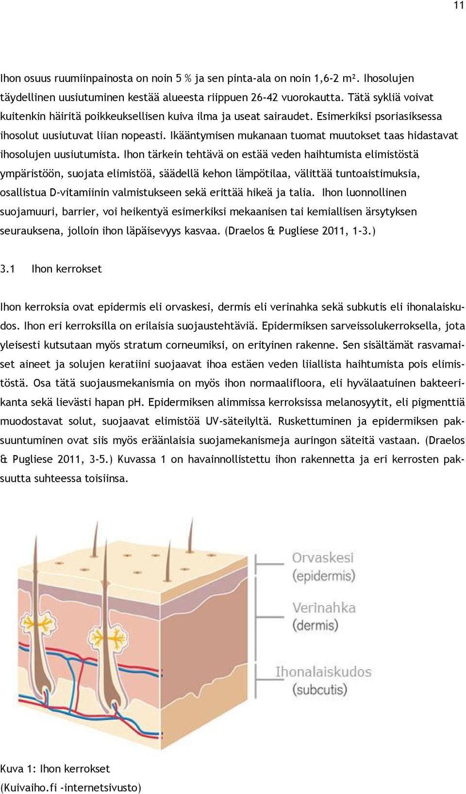 Ikääntymisen mukanaan tuomat muutokset taas hidastavat ihosolujen uusiutumista.