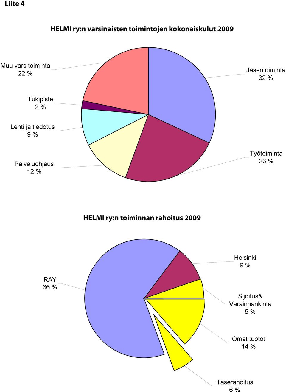 tiedotus 9 % Palveluohjaus 12 % Helmi ry:n toiminnan rahoitus 2009 Työtoiminta 23 % HELMI ry:n