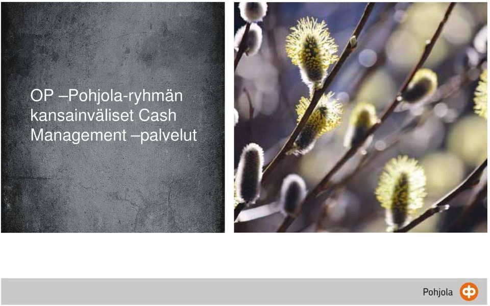 kansainväliset
